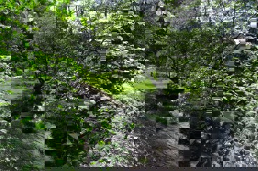 River Horsens NS 09815 1920